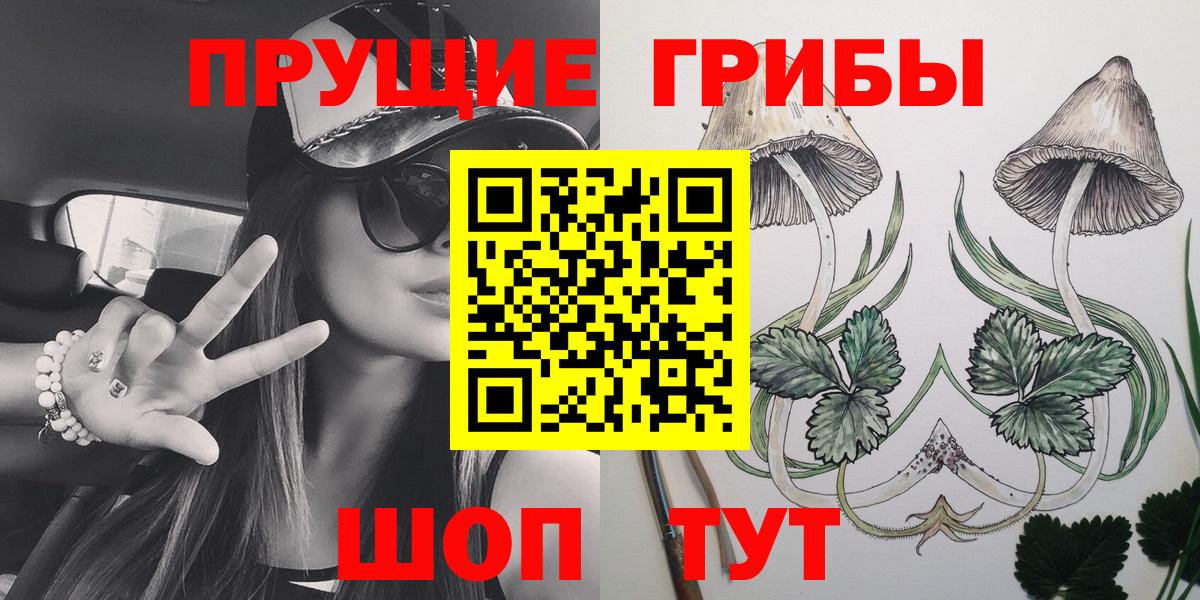 Псилоцибиновые грибы Psilocybe Невинномысск